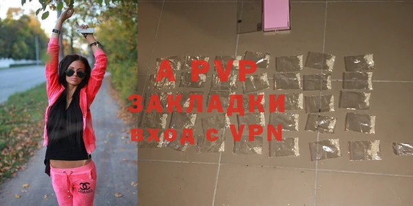 хмурый Михайловск