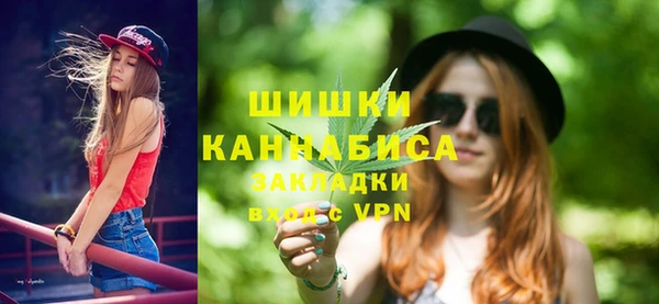 соль ск Михайлов