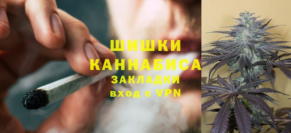 соль ск Михайлов