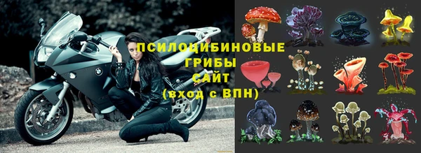 хмурый Михайловск
