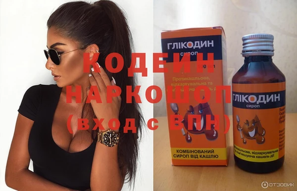 хмурый Михайловск